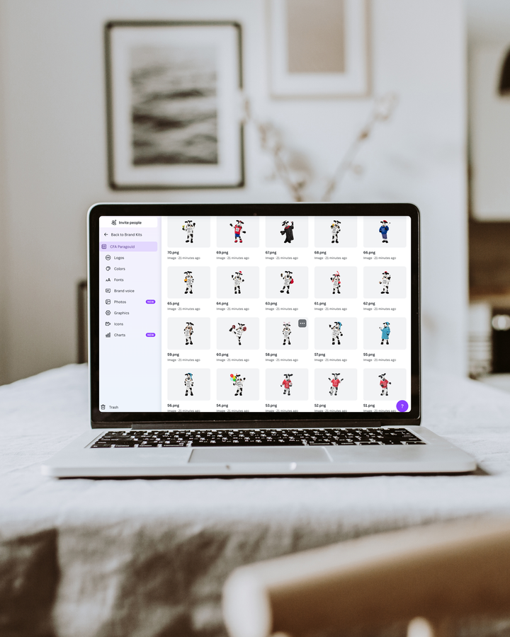 POPULAR! Canva Set Up