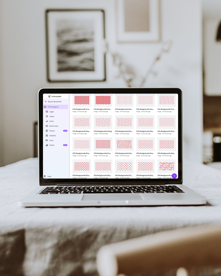 POPULAR! Canva Set Up