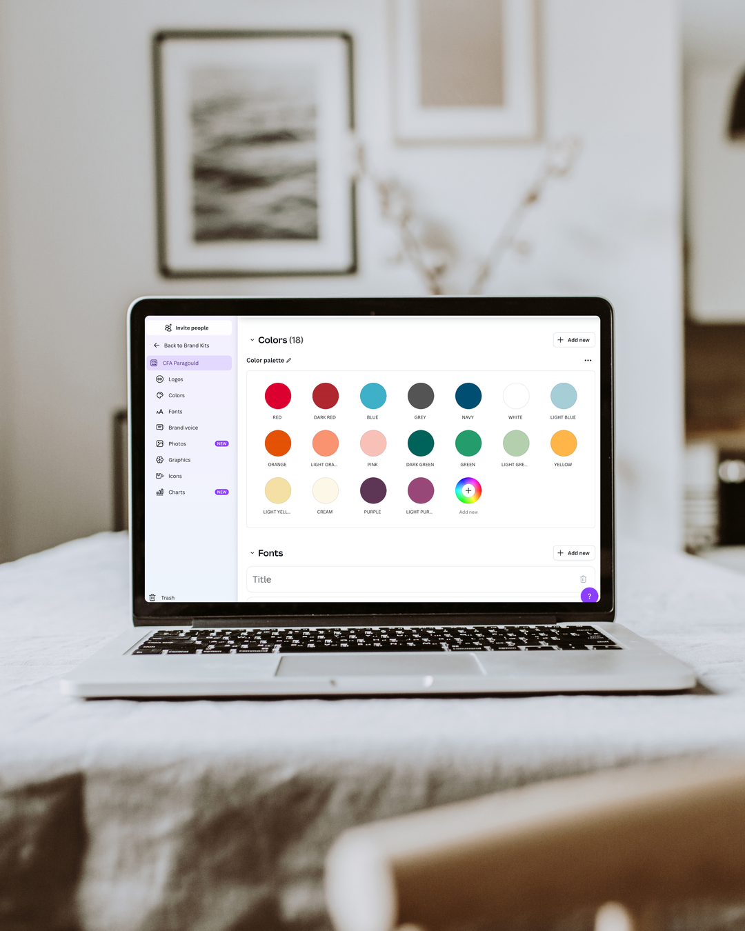 POPULAR! Canva Set Up